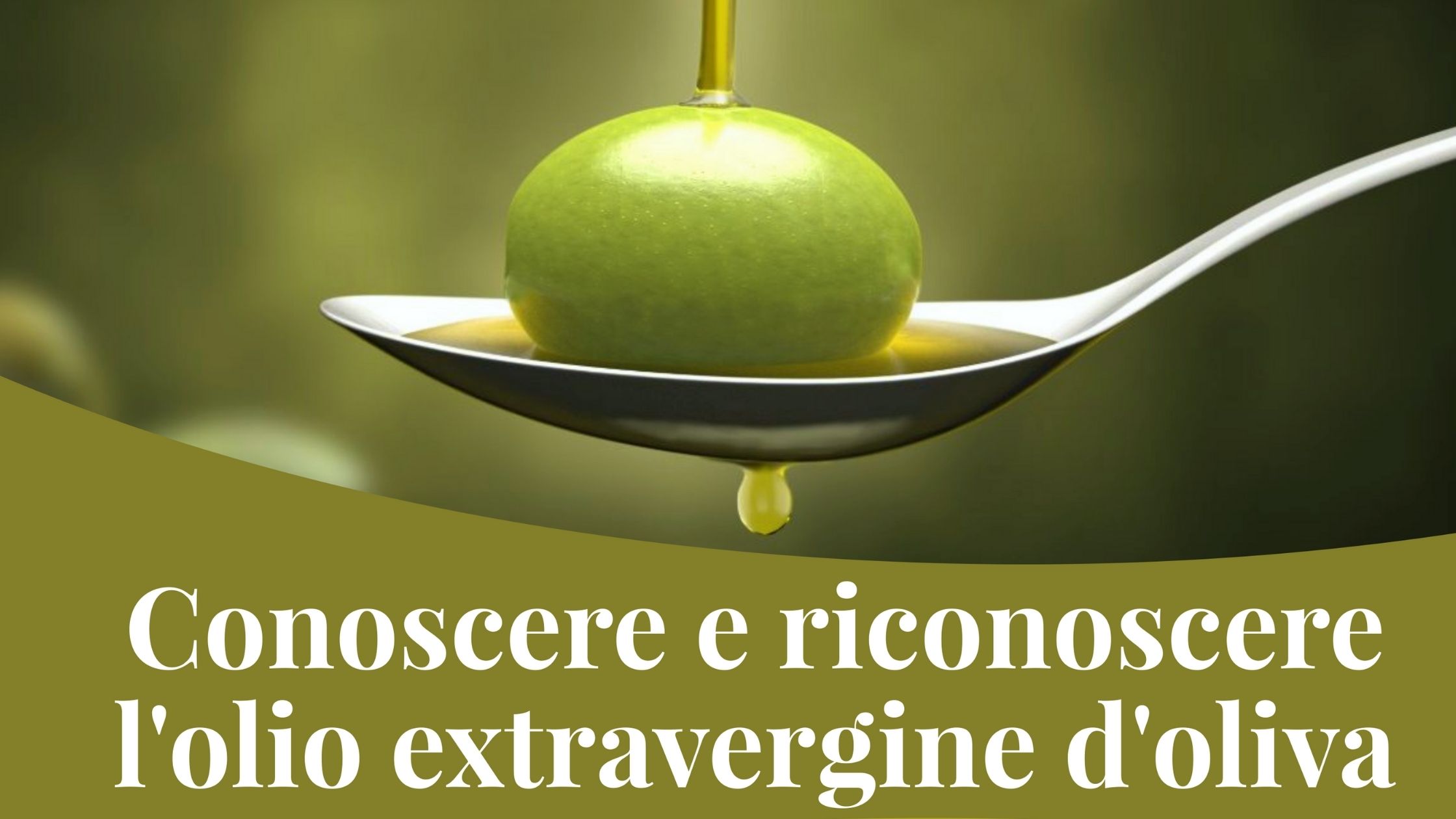 degustazione-olio-bibbiena casentino